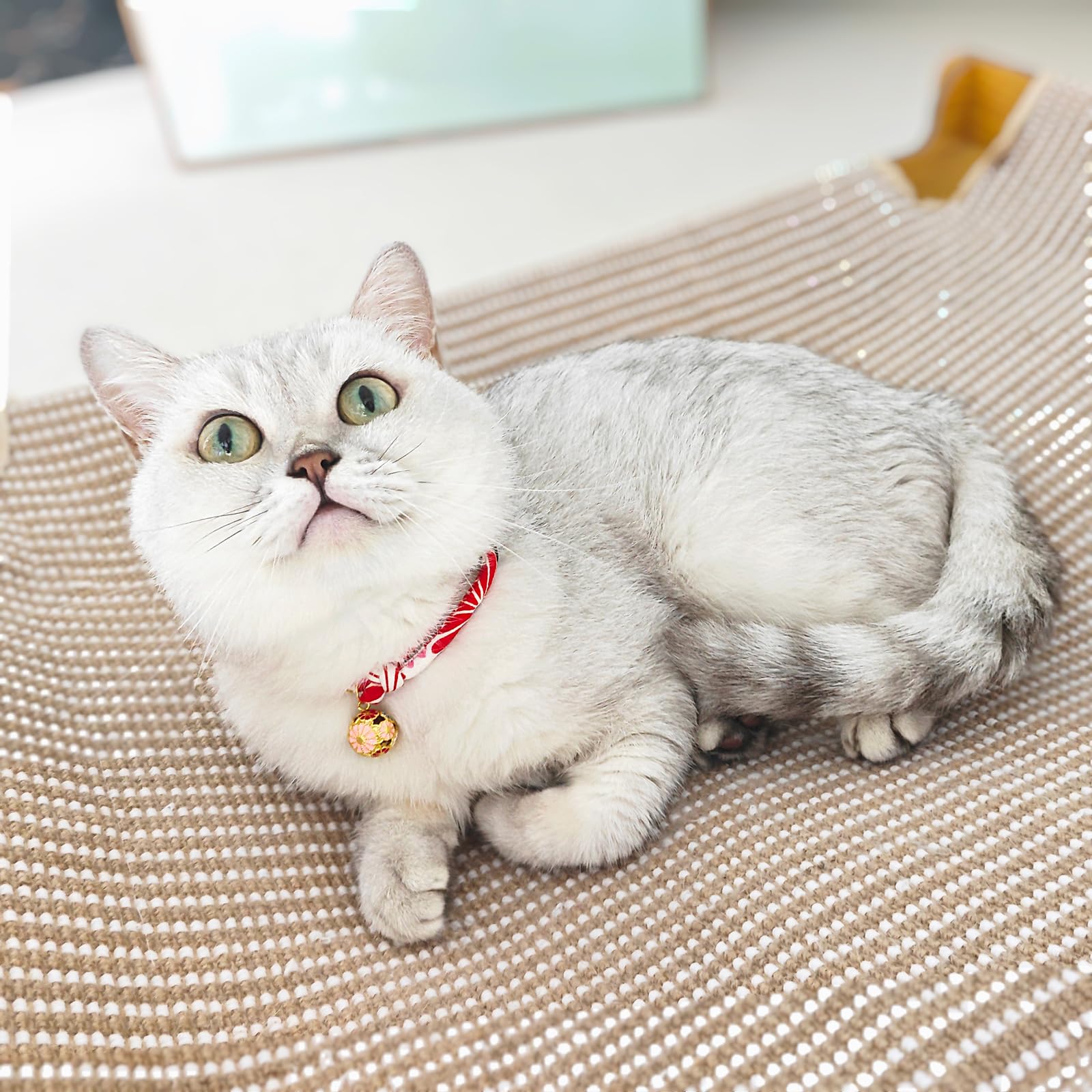 Go to store page for "Mum Collars". - image 4