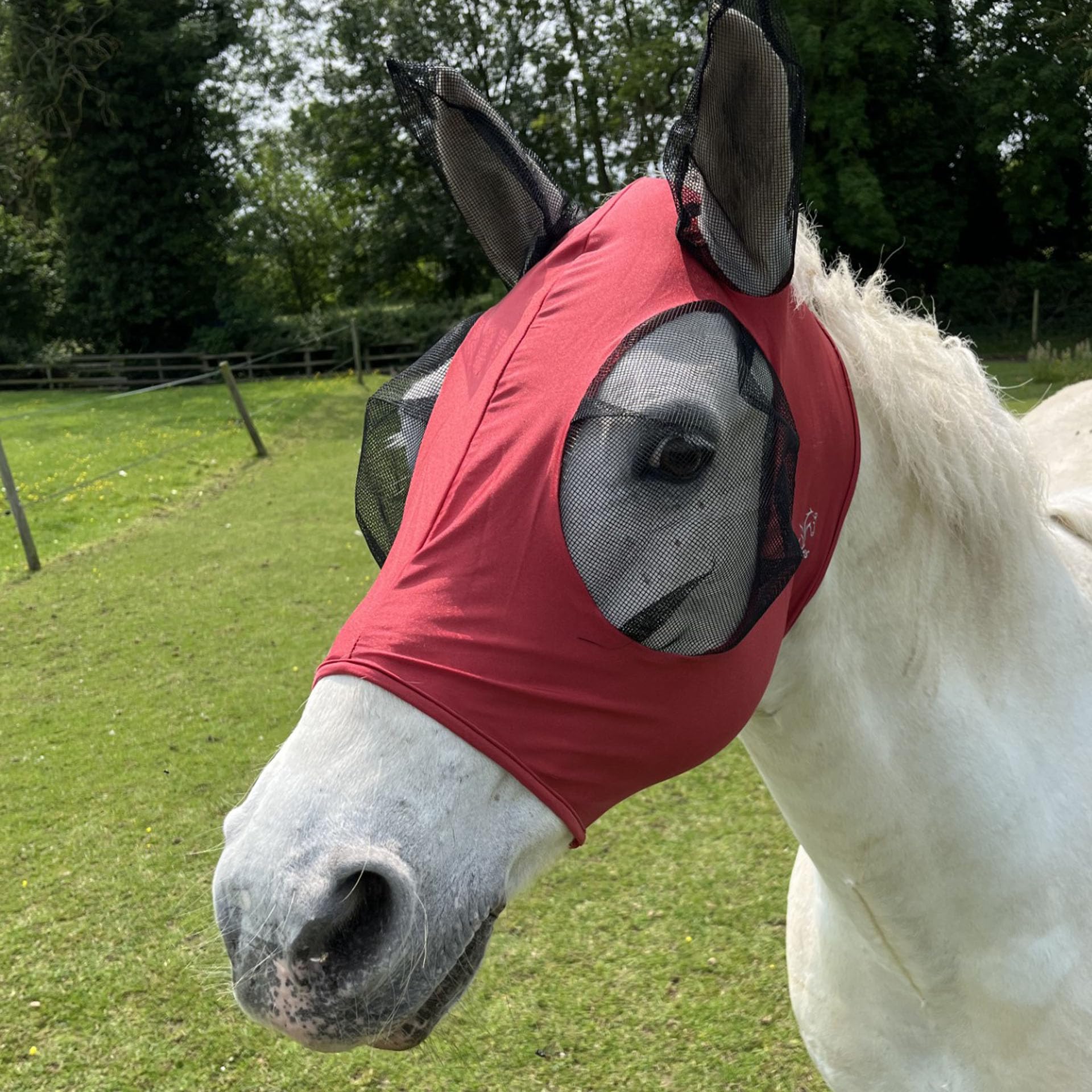 Ruggles Pull On Lycra Fly Mask for Horse And Pony | Mesh Eyes and Ears | 4 Way Stretch for Ultra Comfort No Buckles or Straps (L, Burgundy)