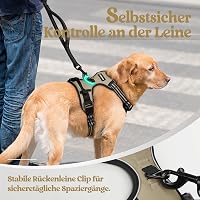 Ham pentru câini rabbitgoo No Pull, mărimea S, ham reglabil pentru piept, respirabil, cu control anti-tragere, benzi reflectorizante, kaki, pentru plimbări 7