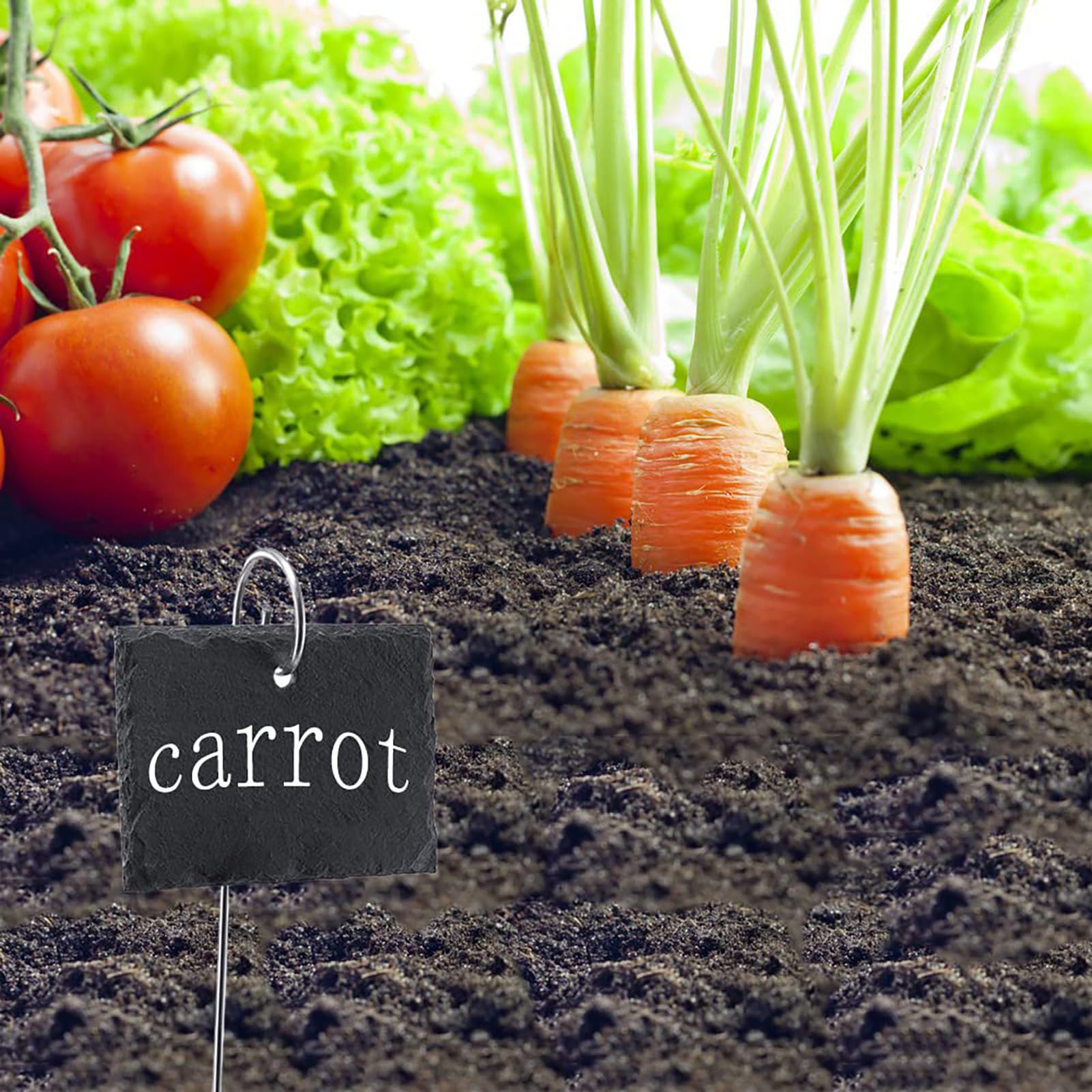 20Pcs Plant Label Hooks 30cm/11.81