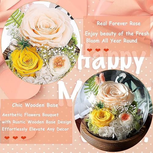 Miniatura 4 de Rosa natural para siempre, flor preservada en cúpula de cristal con luz LED, decoración romántica del hogar y regalo para mamá, esposa, regalo del