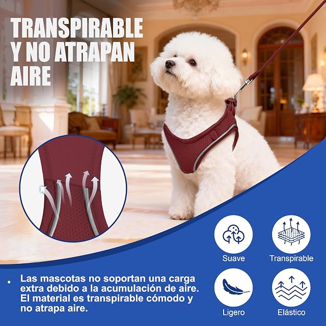 Foto 3 de 7 de Arnés para Gatos con Correa 255cm S (Pecho 39-47cm) Burdeos