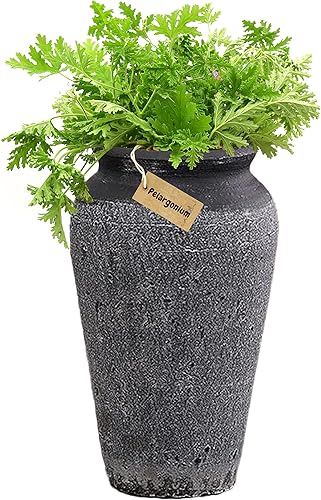 Jarrón de arcilla de granja para flores grandes, maceta de jardín de cerámica áspera para plantas al aire libre, jarrones franceses altos para disponible en Yaxa Colombia