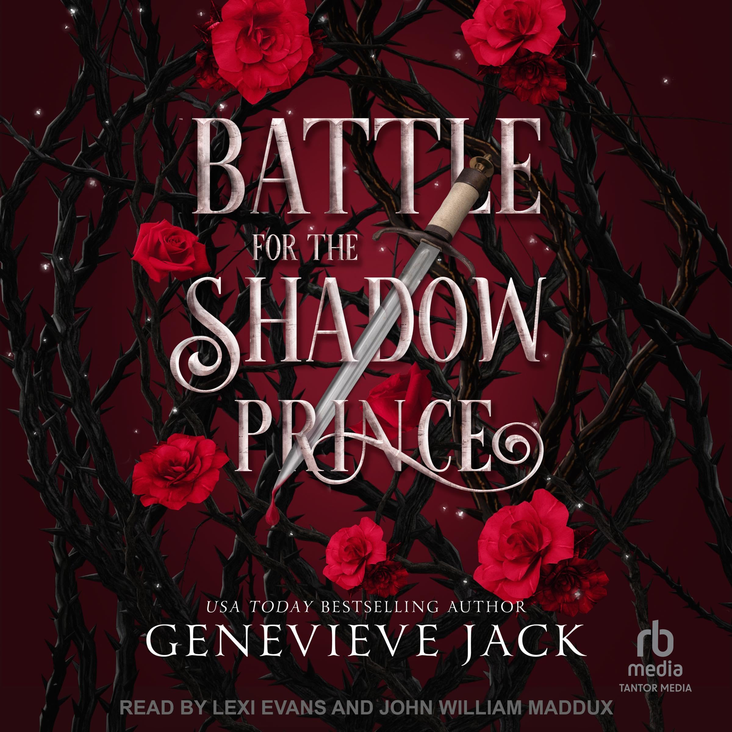 Cover art for Battle for the Shadow Prince