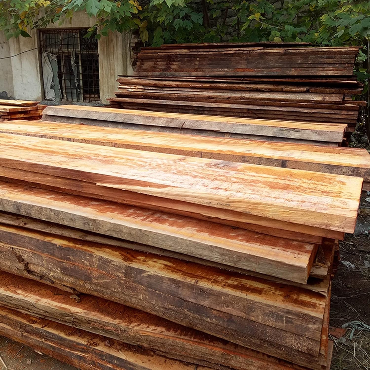 TEESONG 盆栽台座 家庭用盆栽ベース ラウンド 木製オーナメント 花瓶 ミニチュアベース 奇妙な石 仏像 ディスプレイスタンド