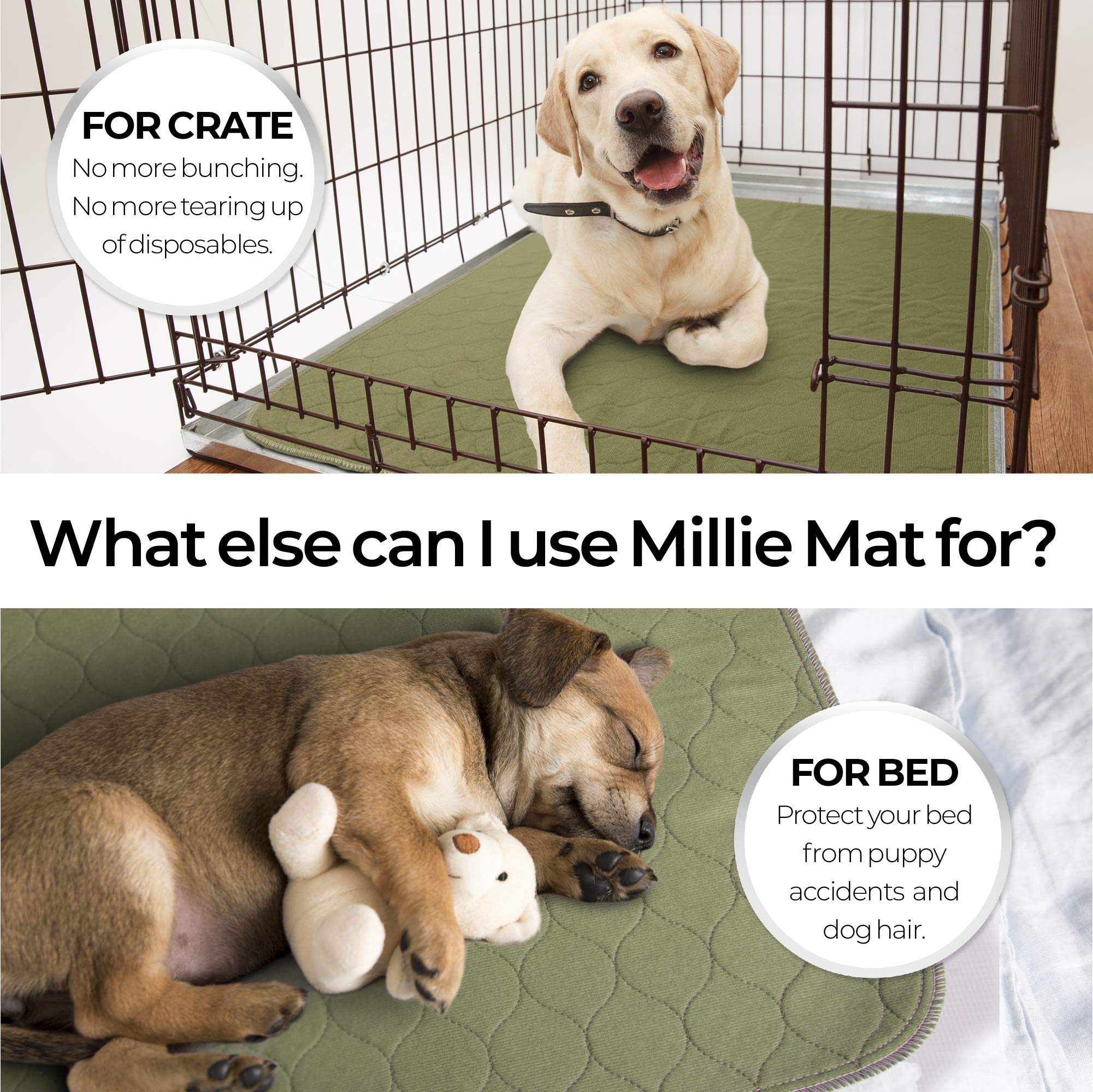 Lot de 2 tapis lavables pour chien - Aide à l'incontinence - Pour chiens âgés et malades - Pour dresser un nouveau chiot - Pour petits animaux - Cochon d'Inde - Doublure de cage -