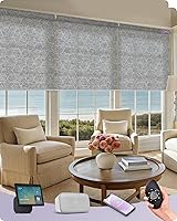 Vista 10 de Graywind - Cortinas solares motorizadas compatibles con Alexa, Google, WiFi, casa inteligente, control remoto, persianas eléctricas con filtro