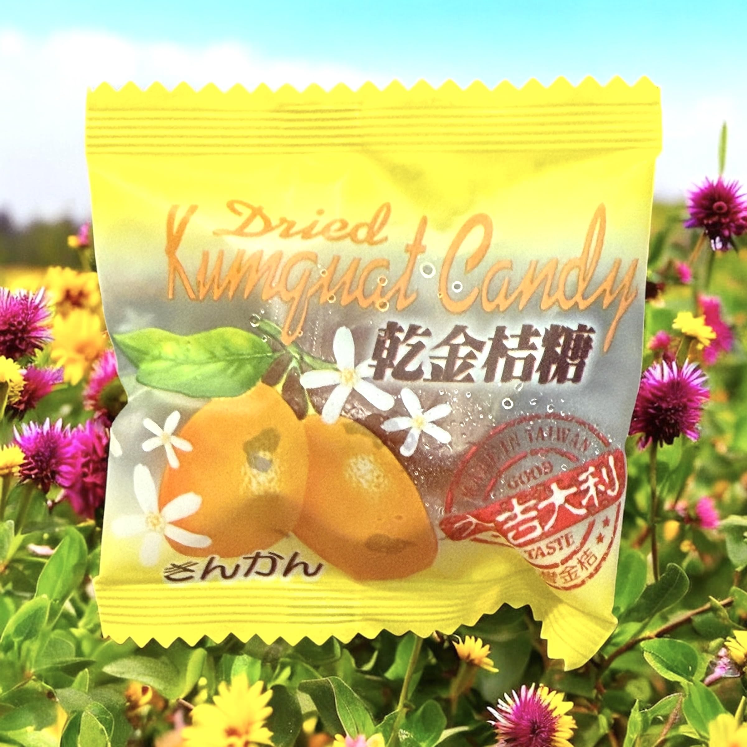 Amazon.com: 1 Pack - Dried Kumquat Candy Half Pound - Mut Tac