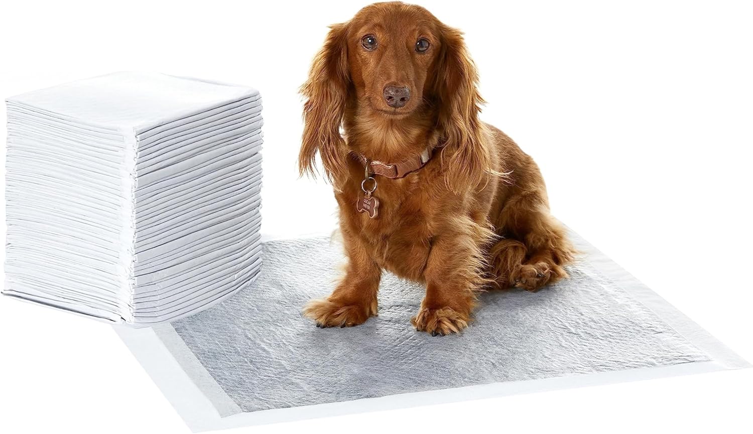 Tapetes de treino Amazon Basics com carvão para cães