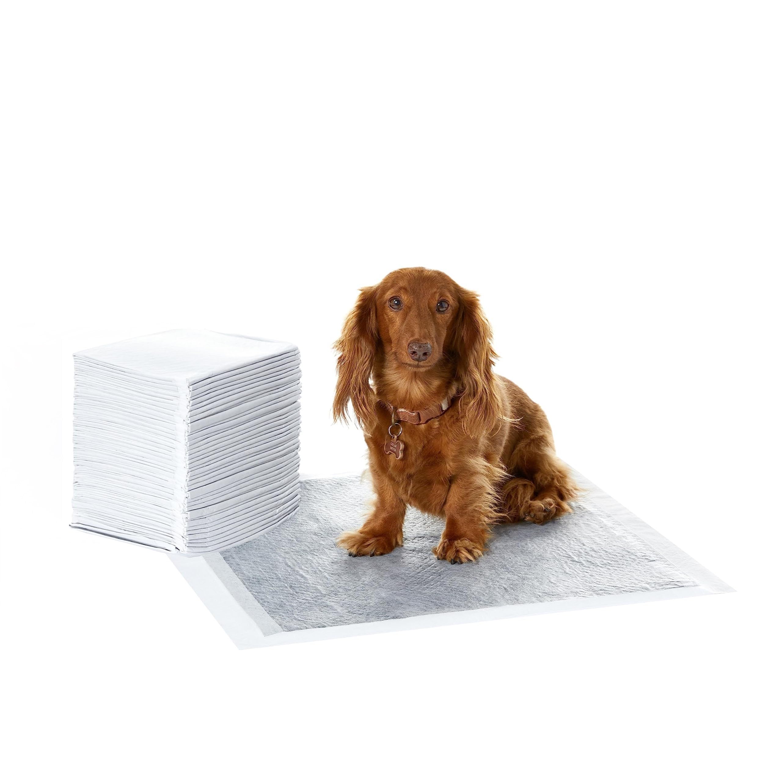 Amazon Basics Trainingspads für Hunde und Welpen mit Kohlenstoff zur Geruchskontrolle, auslaufsicheres Design mit schnell trocknender Oberfläche, Normal (120 Stück), Grau