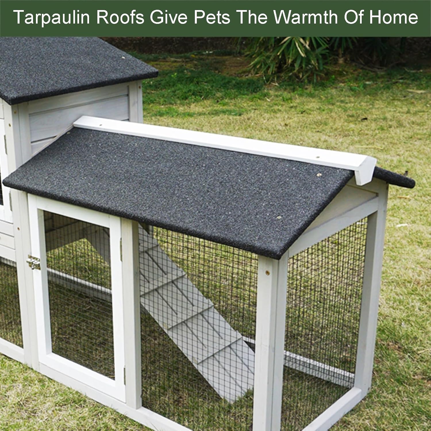 真作/頼山陽/瓢箪画賛/大幅/布袋屋掛軸HG-693