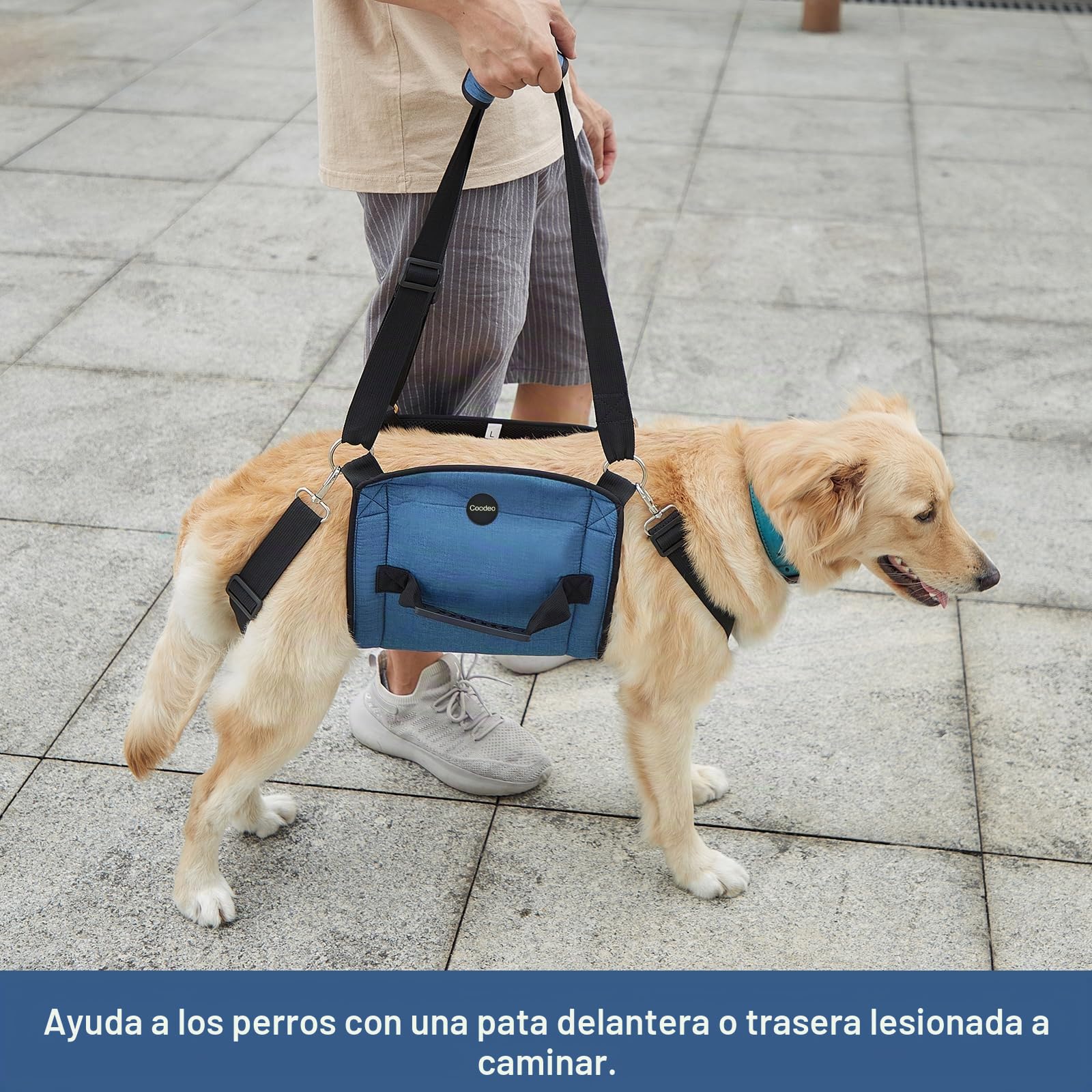 Coodeo Eslinga de Transporte para Perros, Mochila de Emergencia, Soporte para Las Piernas de Las Mascotas Y Arnés de Elevación para Perros de Rehabilitación para Cortar Las Uñas (M, Azul)