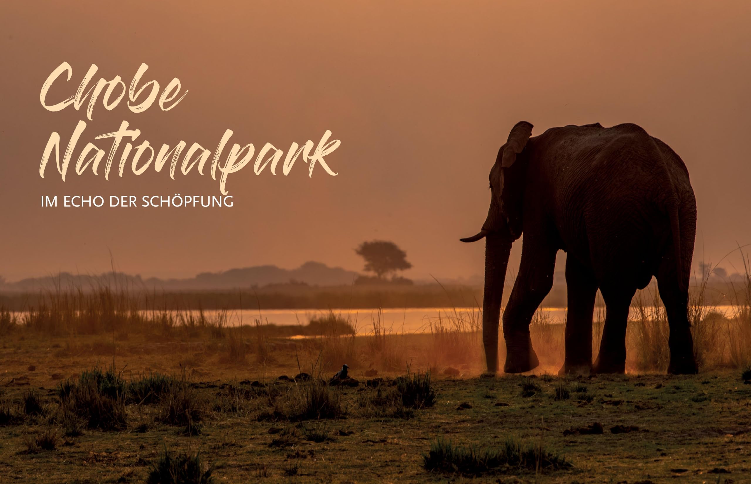 Namibia und Botswana: Afrikas ungezähmte Schönheit