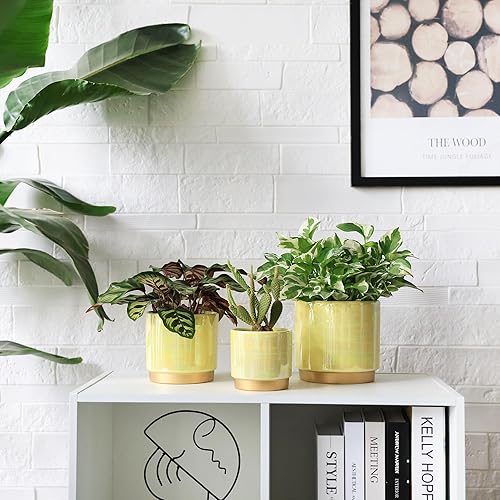 Miniatura 7 de Gepege Macetas de interior para plantas, maceta de cerámica con orificio de drenaje, 6.0 pulgadas + 5.0 pulgadas + 4.0 pulgadas. Maceta de orquídea