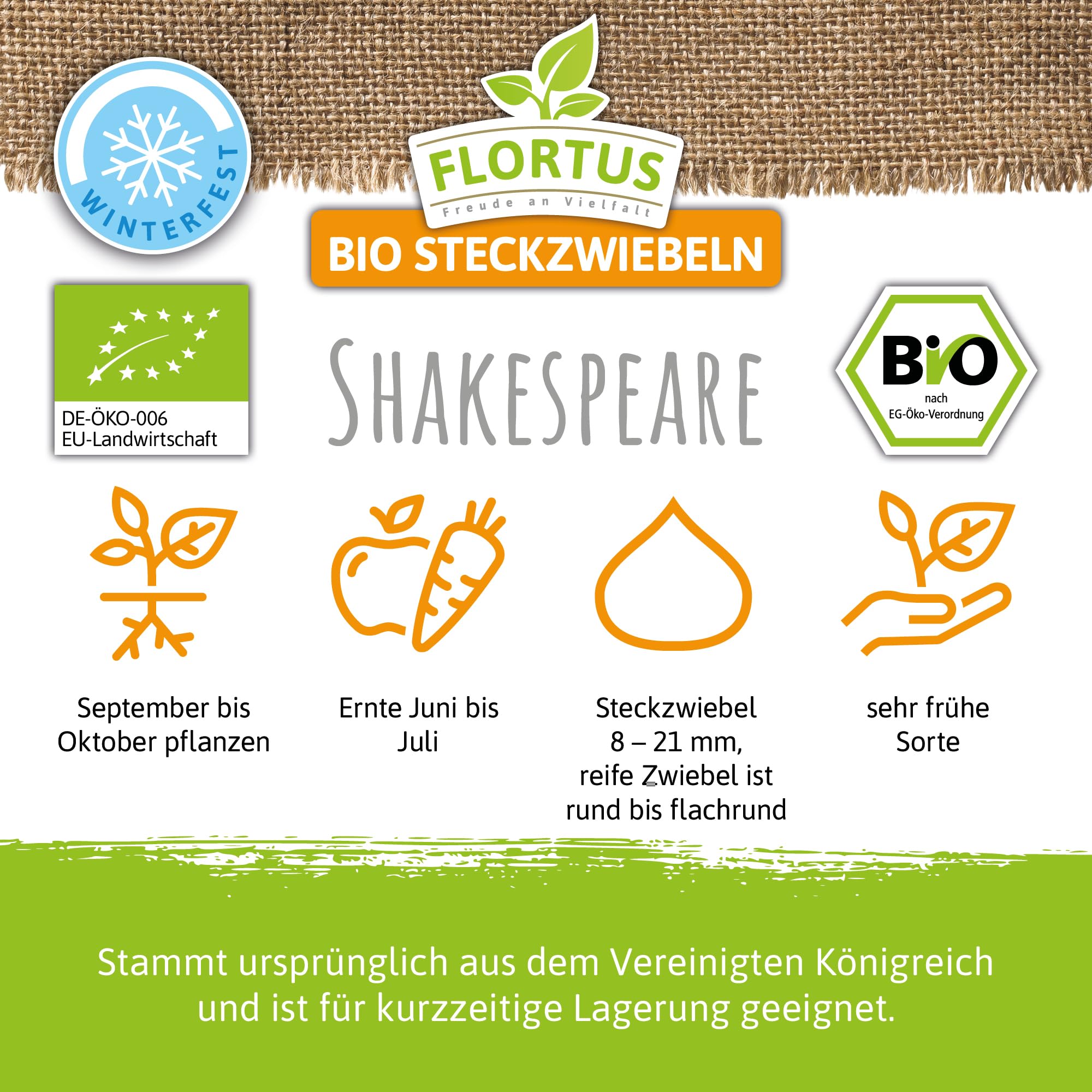 FLORTUS – BIO Wintersteckzwiebel Shakespeare 5 kg Netz zertifiziertes Pflanzgut – Zwiebelgröße 8-21 mm, für den Anbau von mild-scharfen, gelben Zwiebeln – Für Garten & Hochbeet
