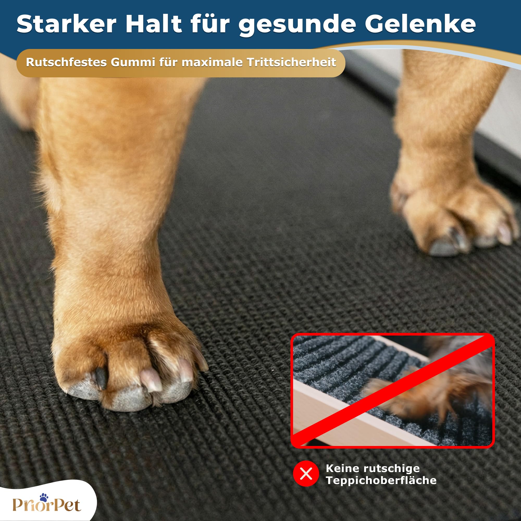Hunderampe - Hundetreppe für kleine Hunde und große Hunde - Einstellbar 18-53 cm - Für Bett Sofa - Birkenholz - Landeplattform schließt nahtlos an - Rampe Hund Klappbar - Anti-rutsch Einsatz Schwarz
