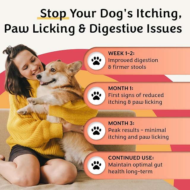 Foto 2 de 7 de Pawital Belly Biotics: aperitivo prebiótico, probiótico y postbiótico 3 en 1 para perros, para lamer…