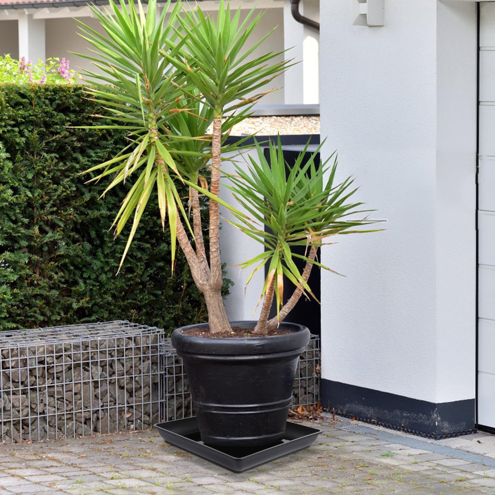 Toddmomy Bandejas de Plástico para Plantas (Paquete de 2): Platillos Cuadrados para Exteriores, Bandejas de Goteo para Macetas Y Balcones.