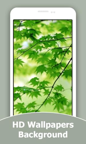 Green HD Wallpapers And Background
