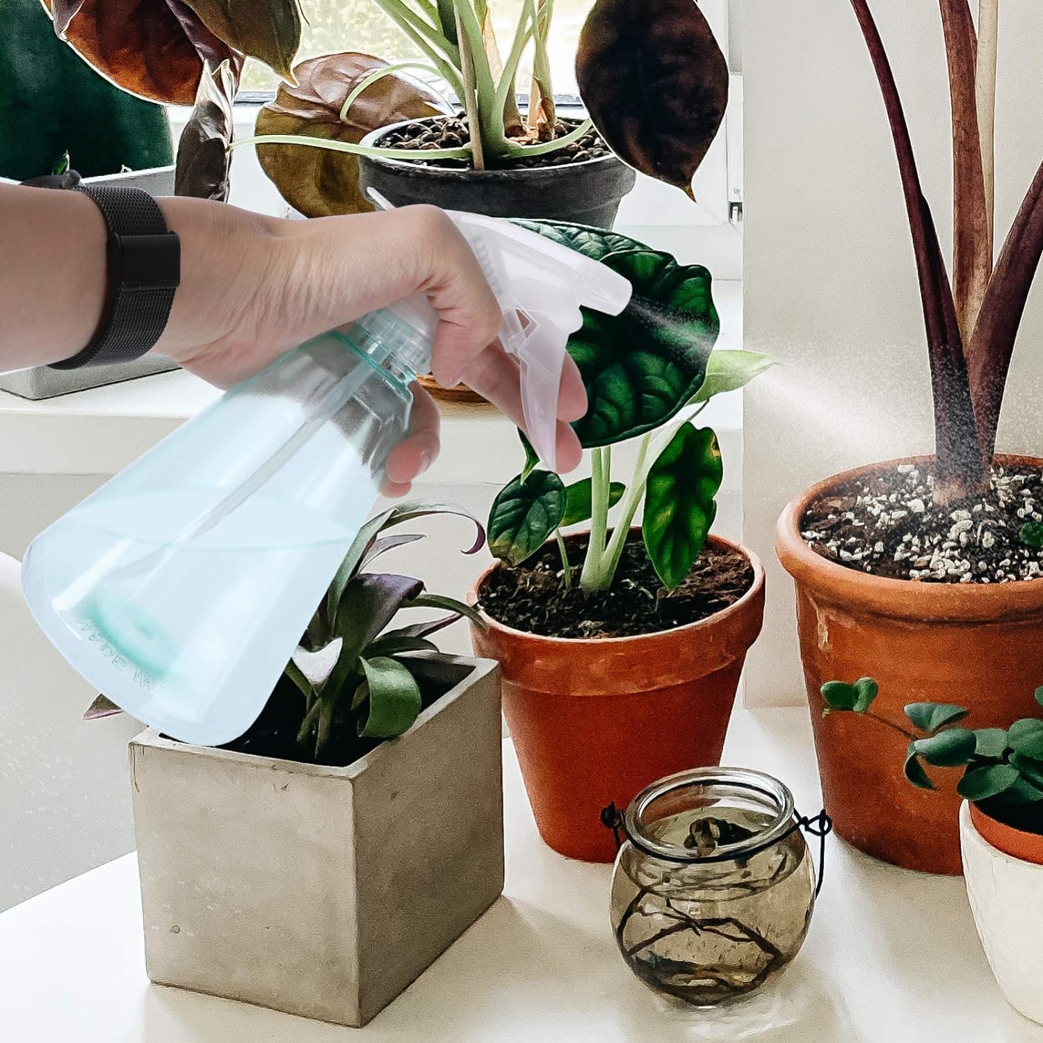 Plant Mister-Sprühflasche, 3 Stück, 500 ml, Kunststoff-Sprühflasche, Gartensprüher, Pflanzenspritzer, Gießkanne, Sprühflasche, Druck