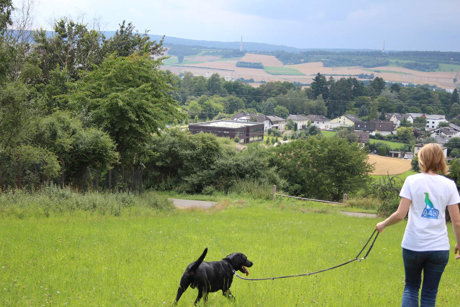Guinzaglio per cani intrecciato, multilaterale, regolabile in 4 posizioni, lunghezza 2,80 m, rotondo, diametro 15 mm, per cani grandi e grandi, Made in Germany