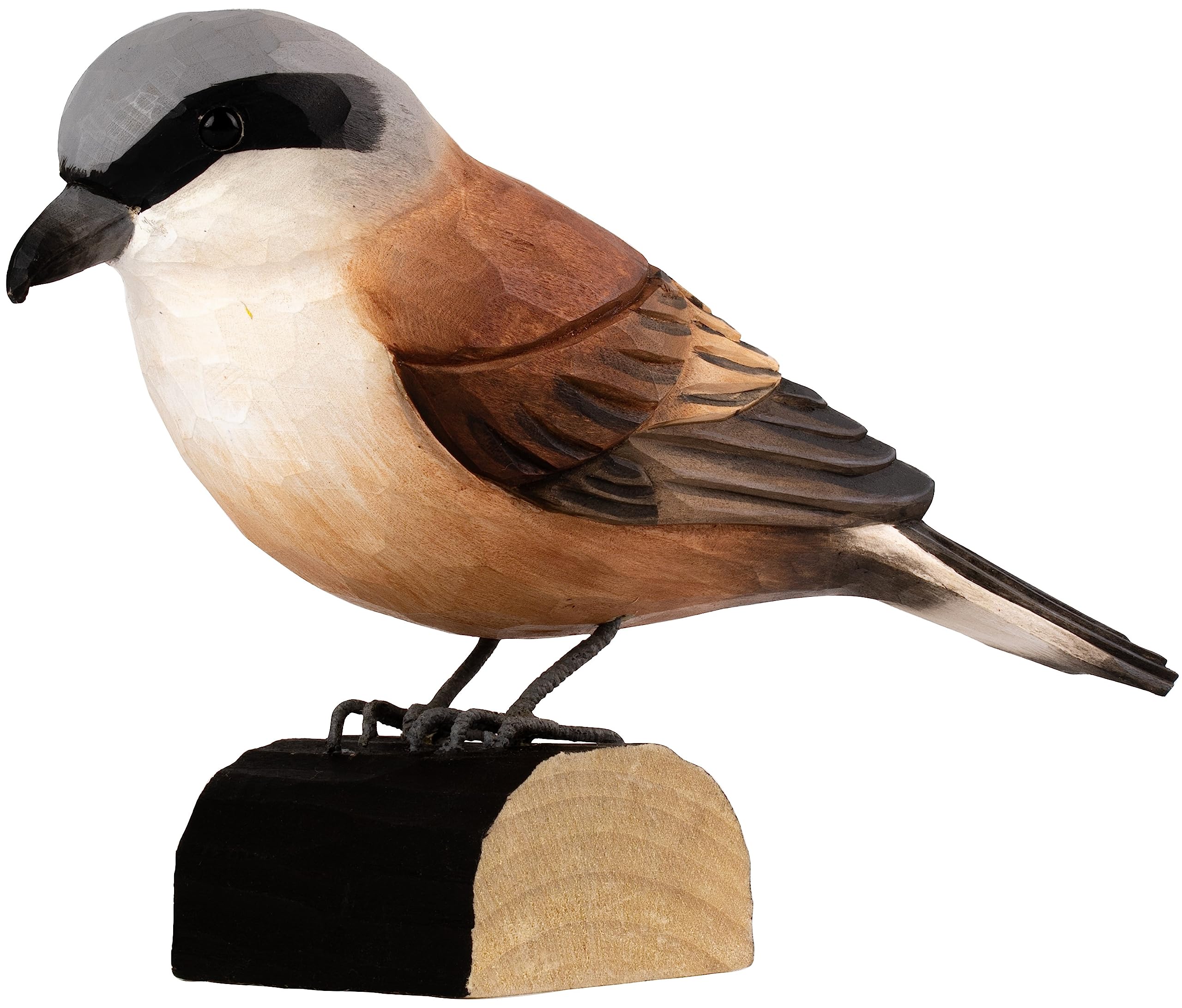 WILDLIFEGARDEN DecoBird WG4447 – Uccello Decorativo In Legno Di Tiglio, Intagliato A Mano, Dipinto Con Vernici Ecologiche, Collezione Uccelli Europei Di Medie Dimensioni