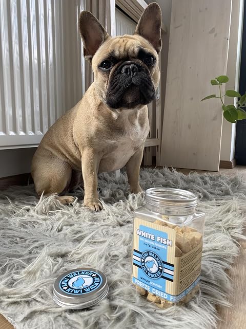 Foto 2 de 2 de KIWI WALKER Dulces liofilizados sin cereales en cubos de pescado blanco para gatos y perros - 70 g