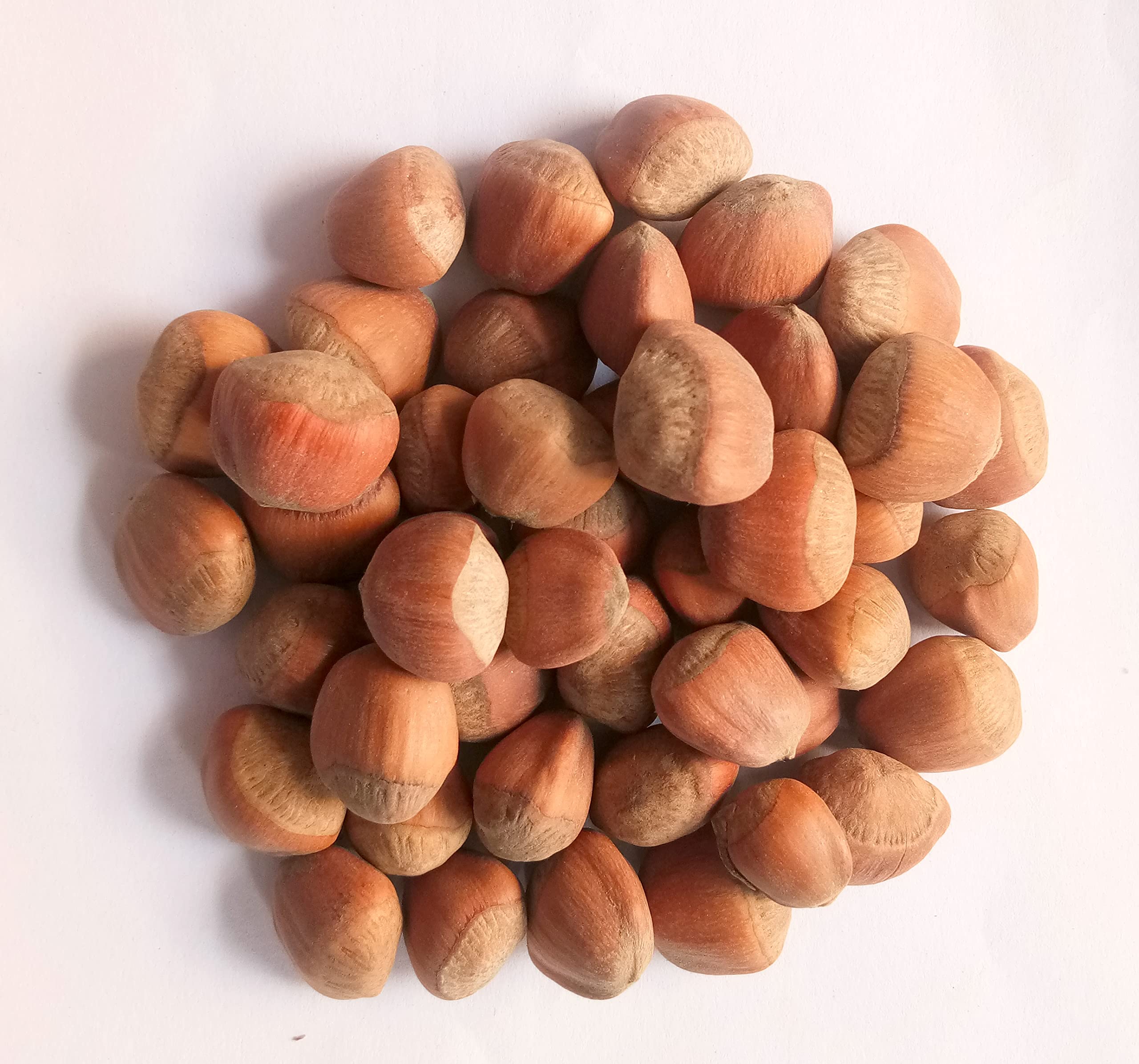 GREEN WORLD HAZELNUT TREE SEEDS FOR FARMING & GARDENING (10 GMS SEEDS PACK) (B09B2N6SG7) Amazon Price History, Amazon Price Tracker