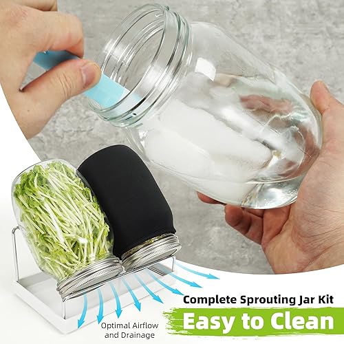 Miniatura 5 de Zeato Juego de tarros de germinación para cultivar brócoli, alfalfa, mung bea, tapas de brotes de pantalla de acero inoxidable de alta calidad, 2