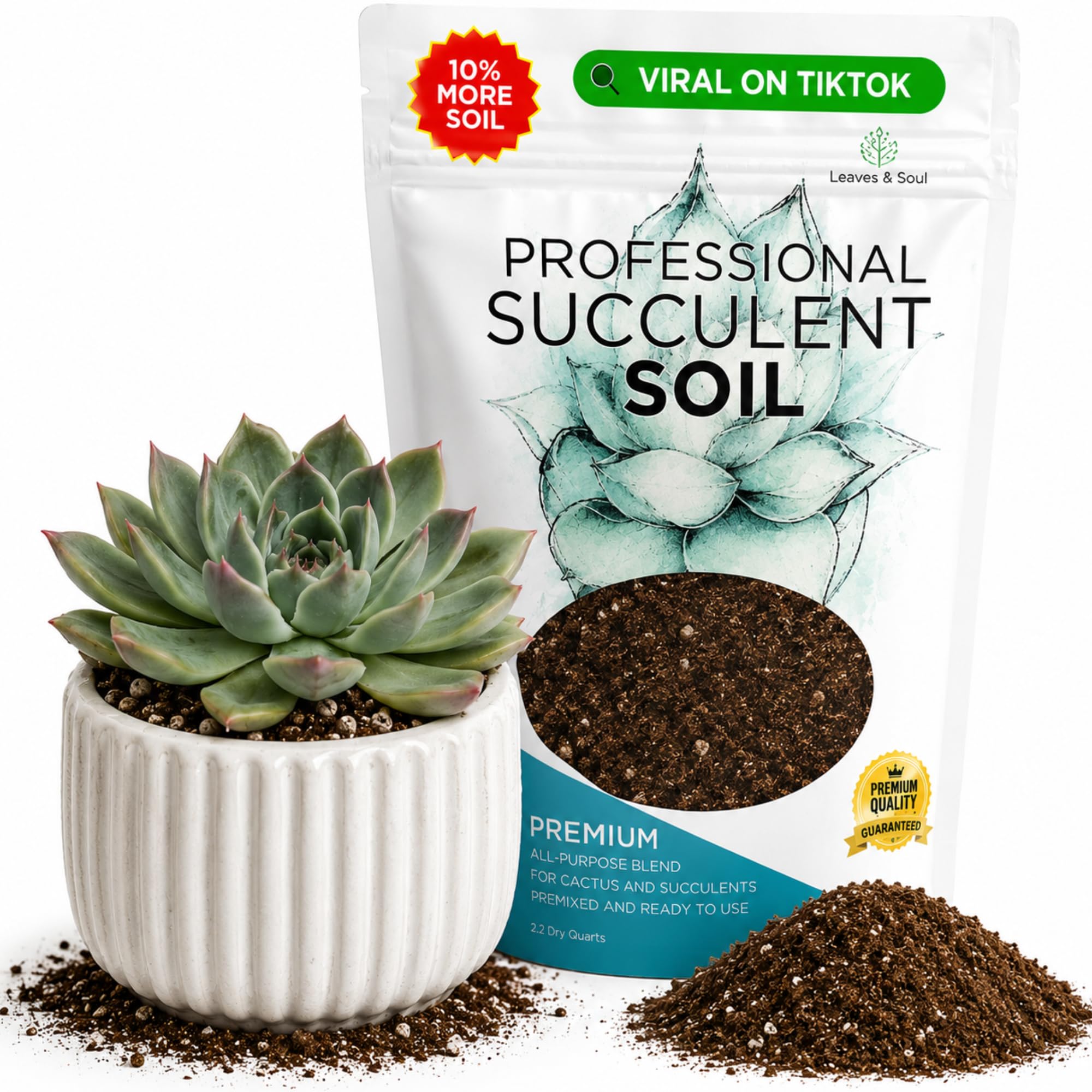 L&S Succulent 2.2qt