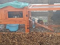 Review Image by Caitlin Adams Caitlin Adams