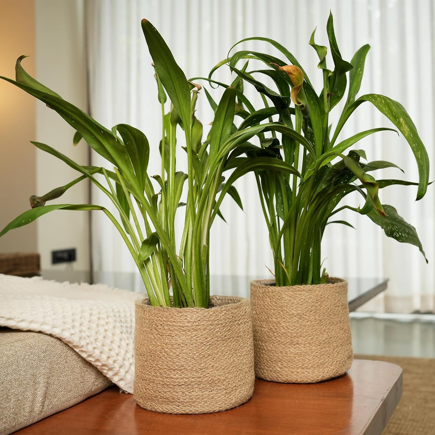 Jute Planter Basket-Woven Jute Rope Covers for Decorating Indoor/Outdoor Succulents, Small Plant Pots-Set of 2-Multi-Purpose Storage Bins 6.5 Inches - Modern Style Décor- Brown