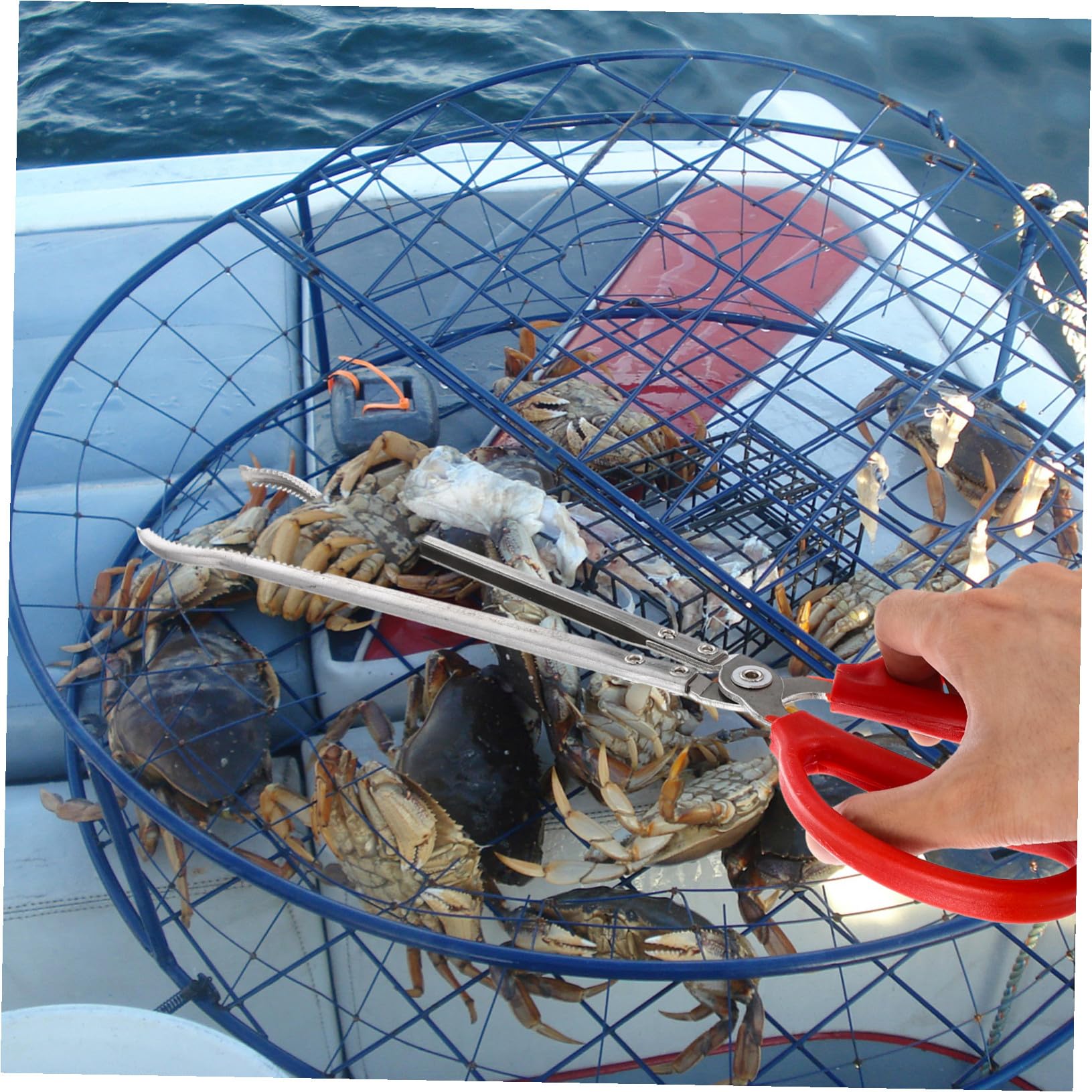 Longues Pinces à Crabe Portables en Acier Inoxydable et Abs Antidérapantes