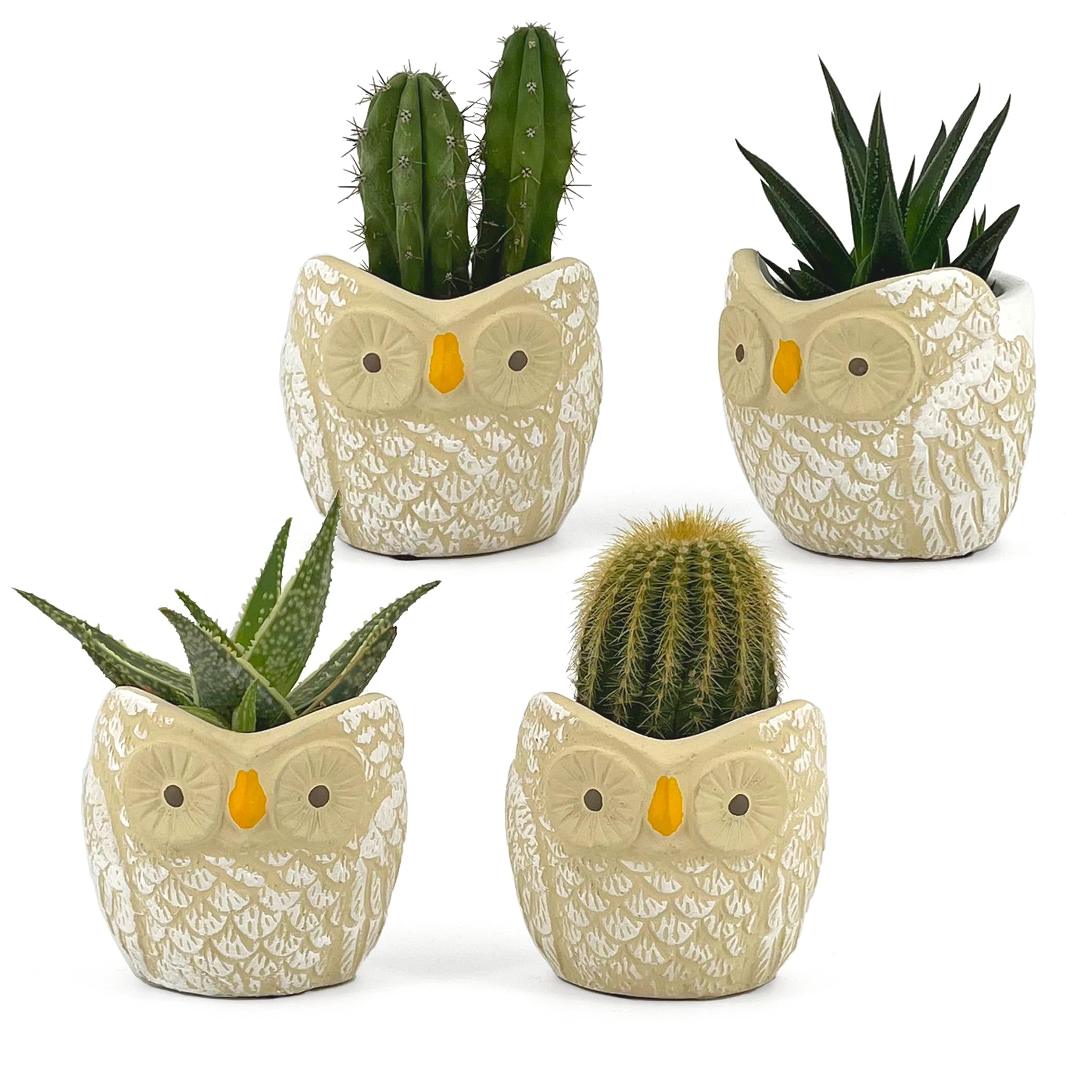 SUN-E Vaso per gufo Vasi per piante di cactus succulente in ceramica Fioriere per fiori