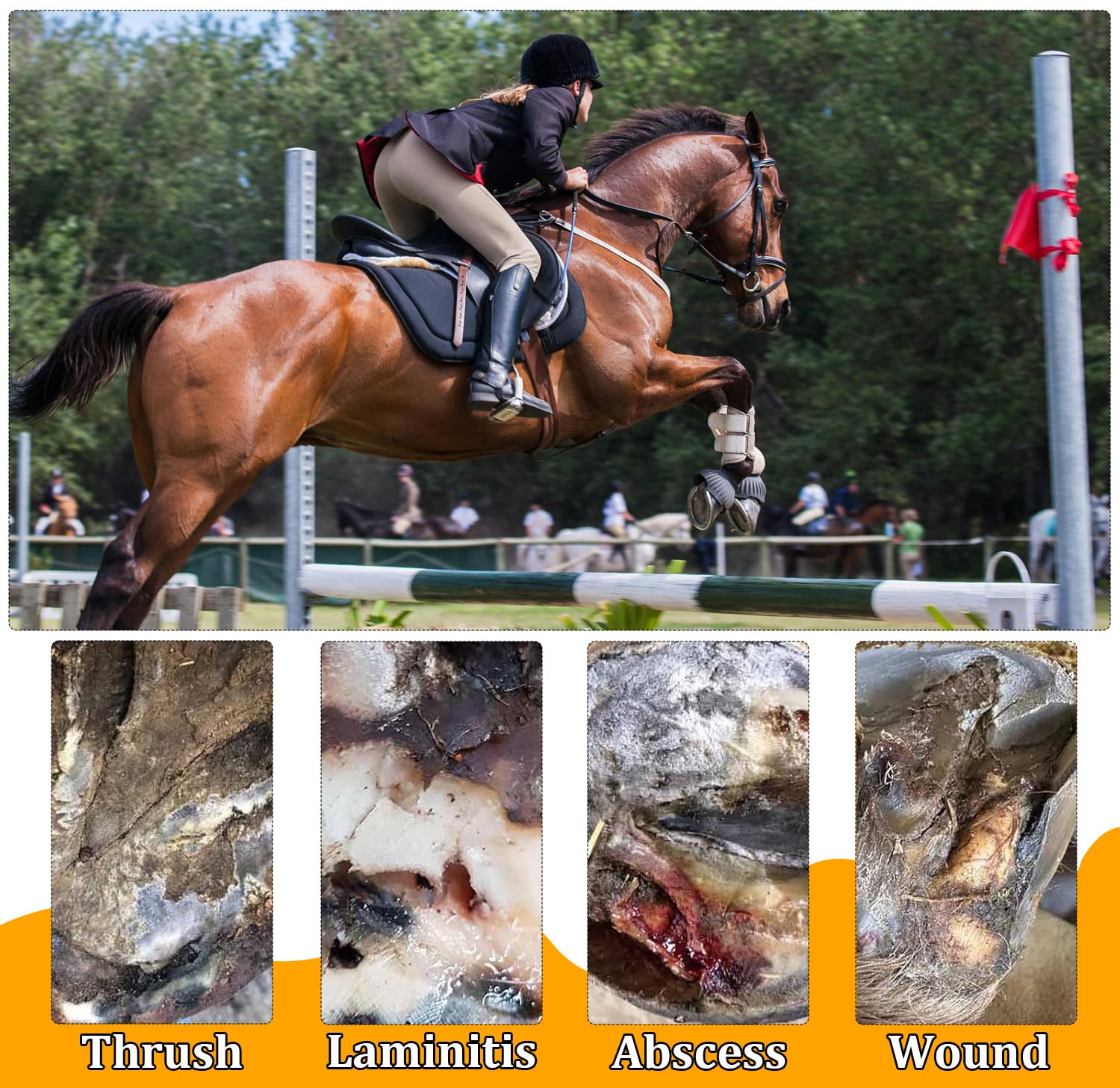 Youven 6 Pack Horse Hoof Tape with 2 Rolls of Vet Wrap, Strong Sticky Wraps, Magic Cushion Hoof Packing, Thrush Treatment for Horses, Horse Supplies for Real Horses - image 8