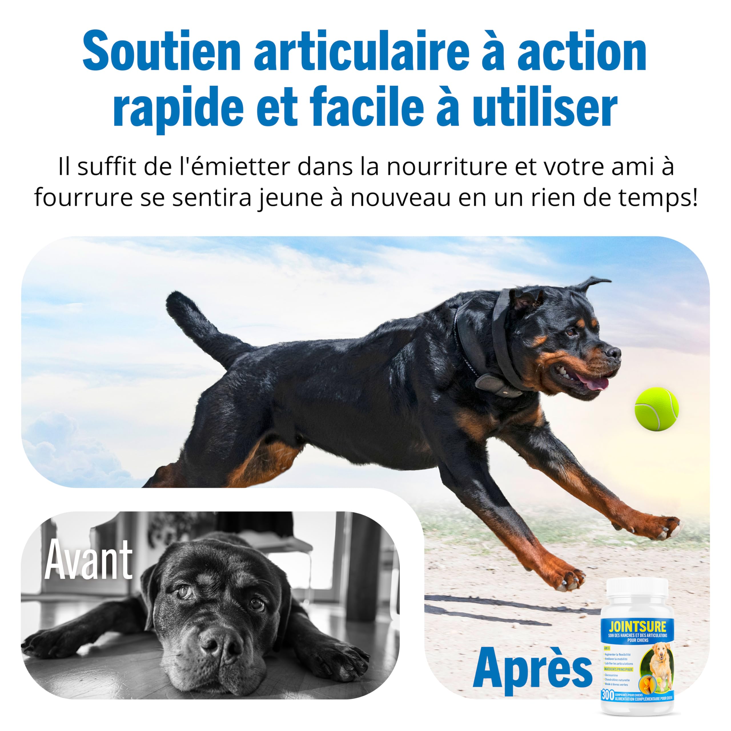 JOINTSURE Senior – Comprimés Premium de Soin articulaire avancé pour Chiens | 120 comprimés avec glucosamine et Moule Verte pour la mobilité et la solidité des articulations
