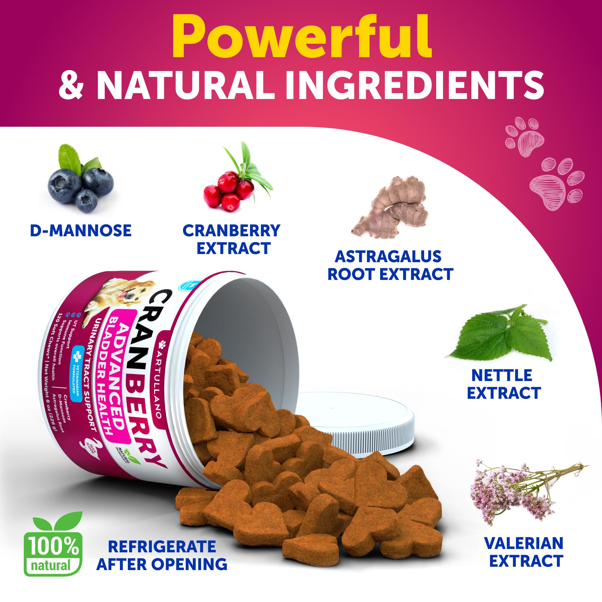 Cranberry Chews for Dogs - Dog Cranberry Supplement for Urinary Health — Amazon image 4