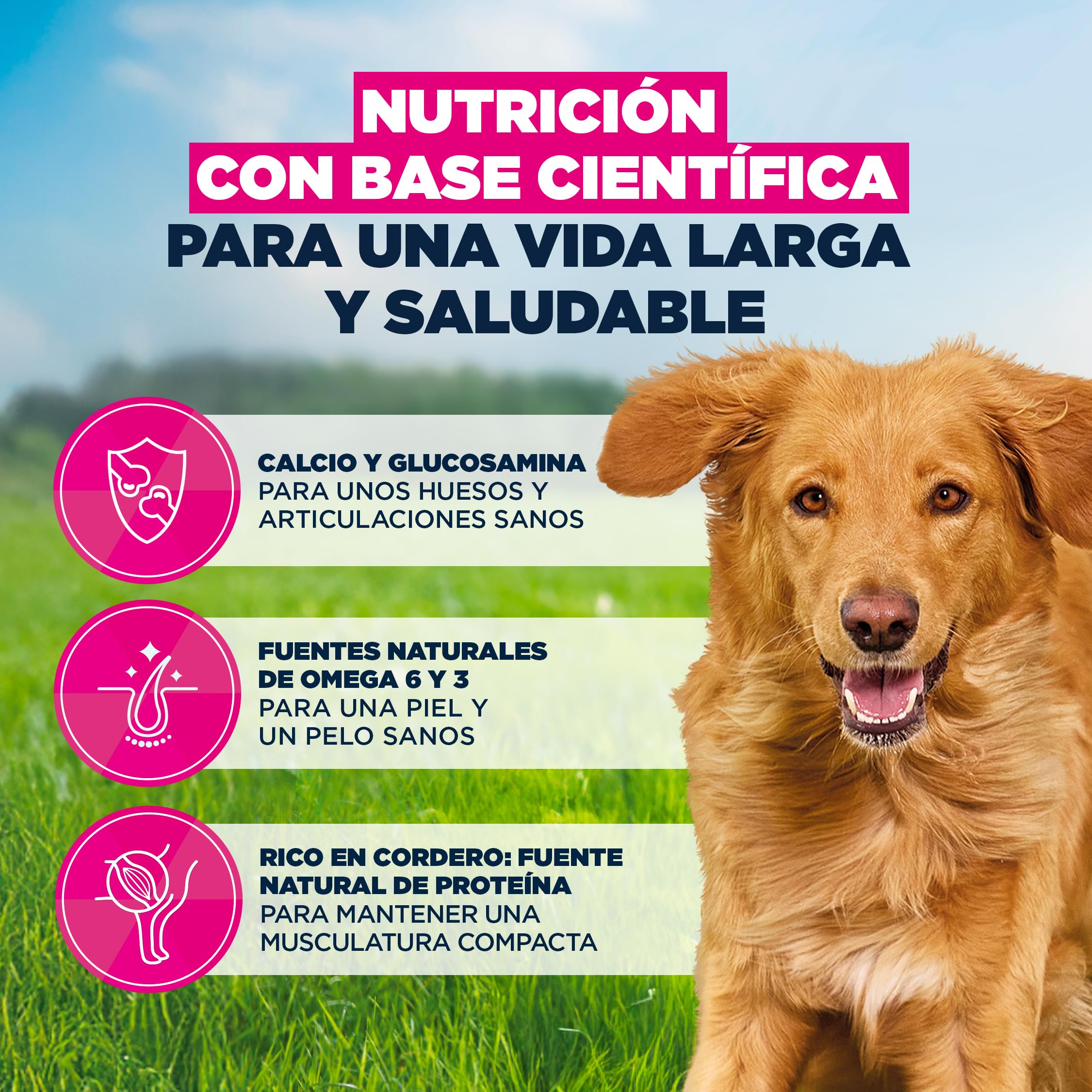Eukanuba, alimento seco para Perros con Cordero y arroz para Razas Grandes - Alimento seco Premium para Perros Adultos, 12 kg