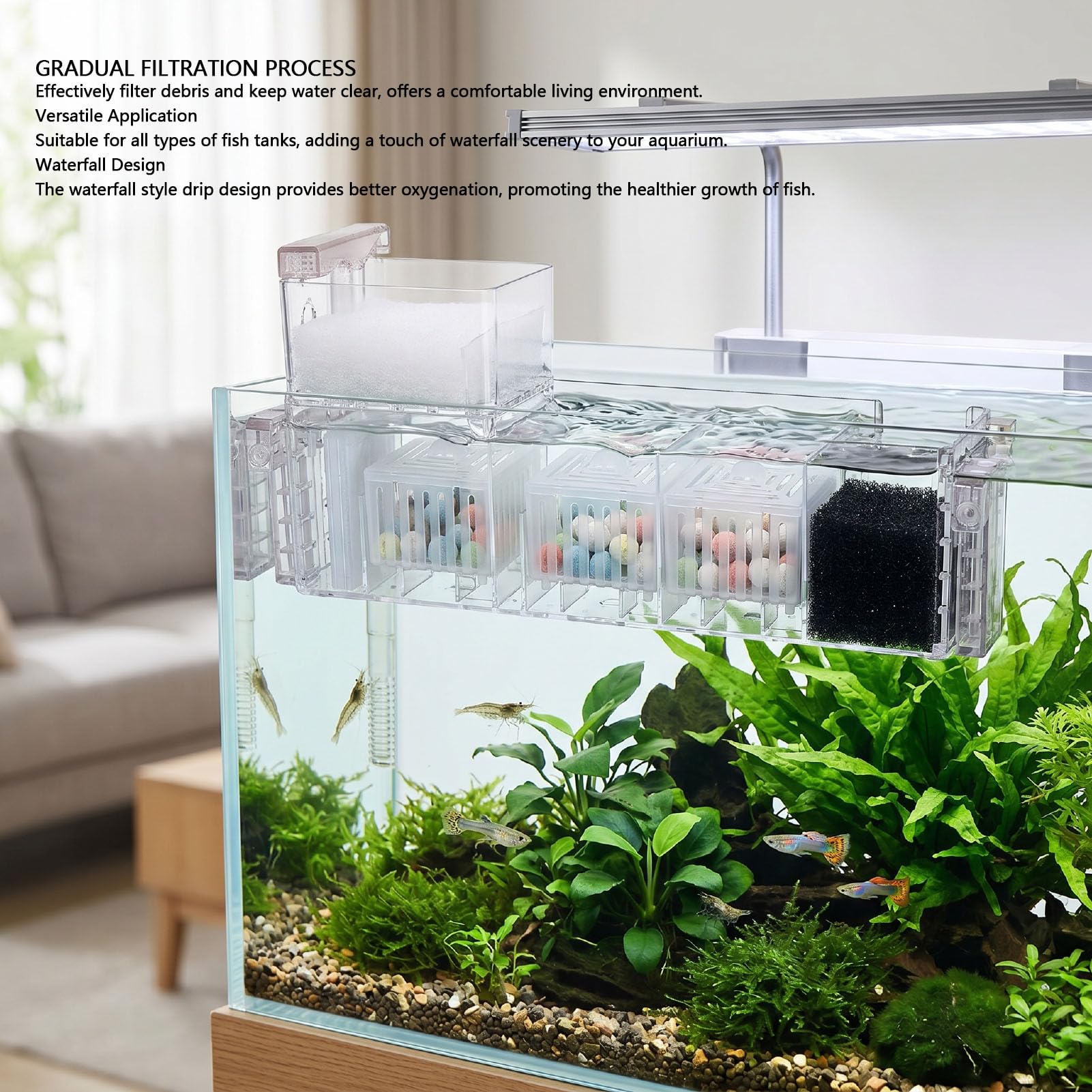 Filtro Acquario Esterno a Cascata, Filtraggio Potente, 220-240V, per Serra Tropicale (Spina Europea 220V)