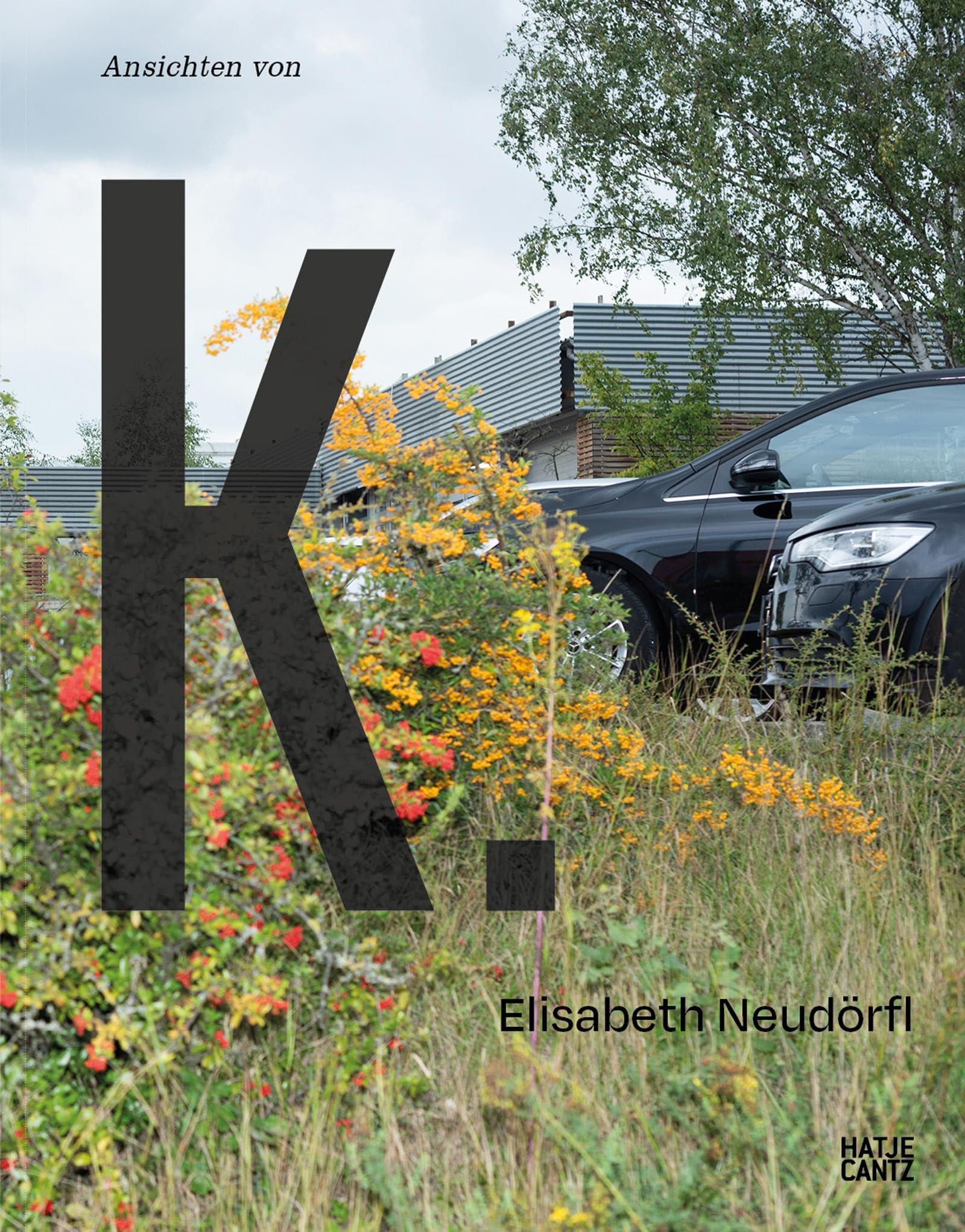 Elisabeth Neudörfl. Ansichten von K. Beau Livre d'Art Relié Hatje Cantz