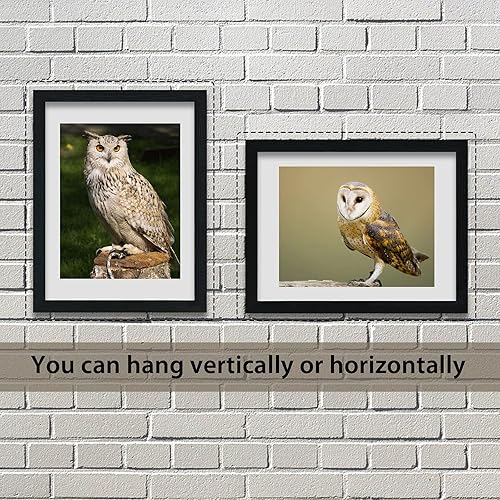 Miniatura 4 de VCK Marco para póster con plexiglás pulido, juego de 5 formatos horizontal y vertical, incluye piezas metálicas para colgar, 18 x 24 pulgadas, color