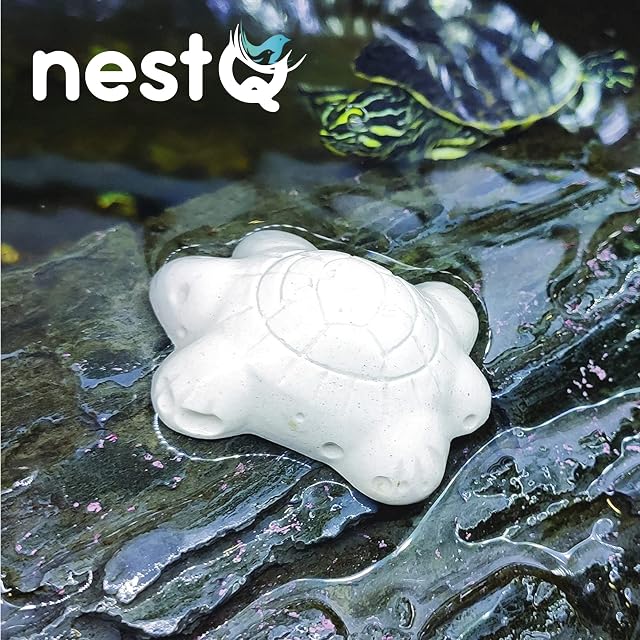 Foto 4 de 5 de nestQ Pack 10 Bloques Calcio Tortugas Acuario Vitamina B1 5cm