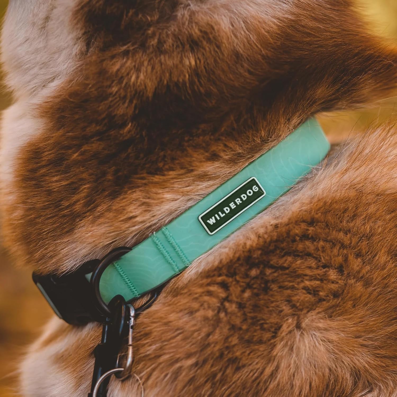 Wilderdog Waterproof Dog Collar - Repels Water & Dirt - Small 11"-15" - Seafoam