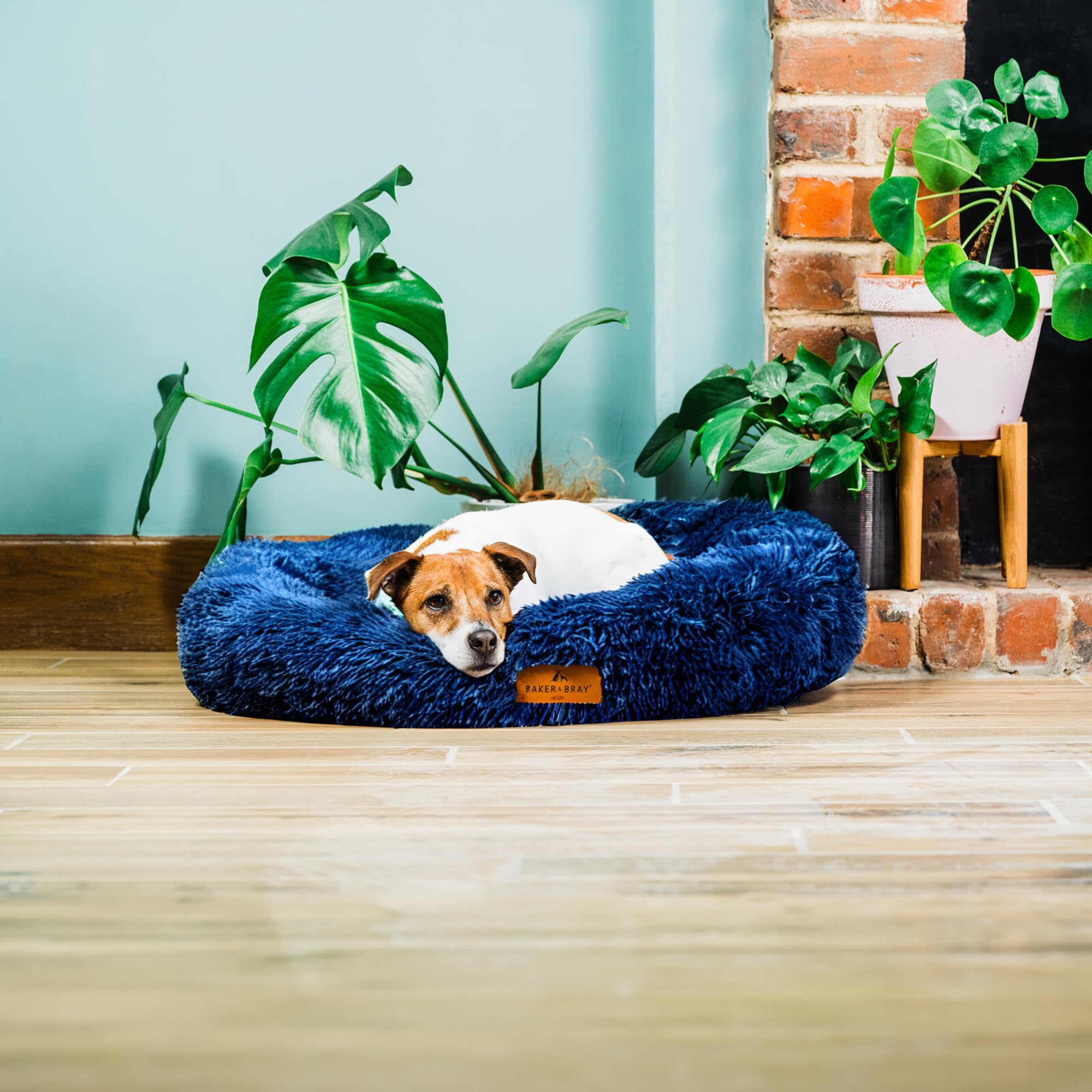 Baker and Bray - The Donut - Eco Friendly Luxury Calming Donut Dog Bed, Navy Blue, Machine Washable (Large 100 cm Diameter 20 cm Rim)