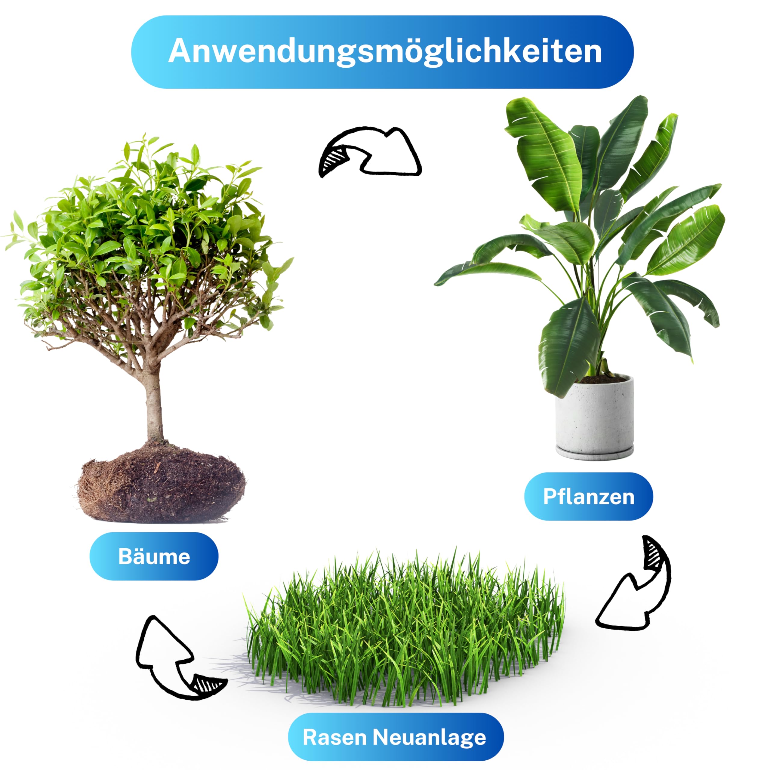 Greenyp Aquagel I Langzeit Wasserspeicher Granulat für Pflanzen, Bäume und Rasen gegen Dürre & Trockenheit I 5kg für 3400L Pflanzerde oder 250m² I speichert das 400-fache an Wasser I Superabsorber
