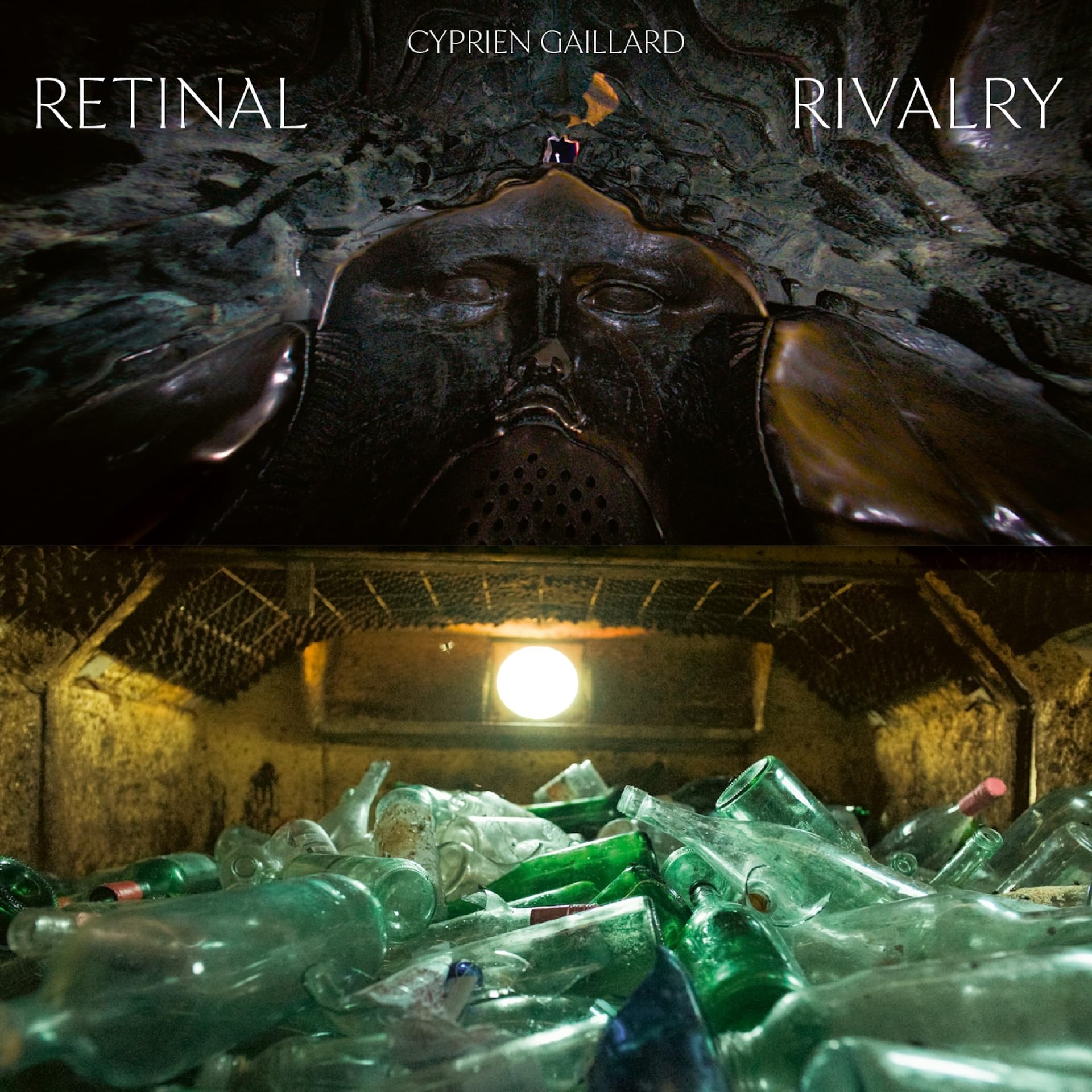 Retinal Rivalry (Picture Disc) [VINYL]