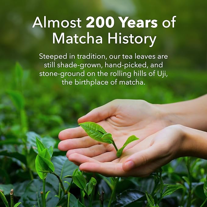 Té Matcha en Polvo Endulzado Endulzado con Fruta del Monje 200g miniatura 5