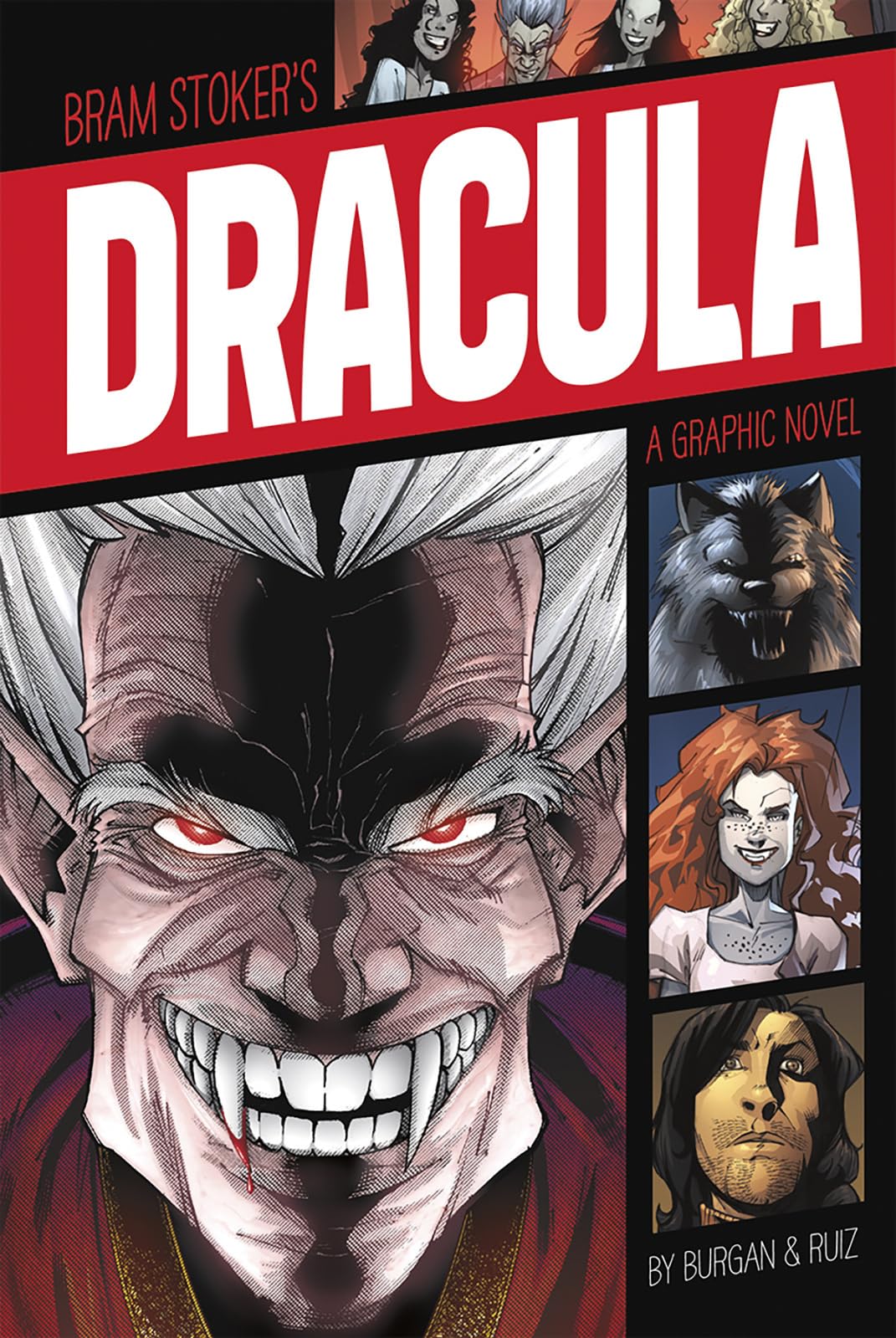 Dracula: A Graphic Novel