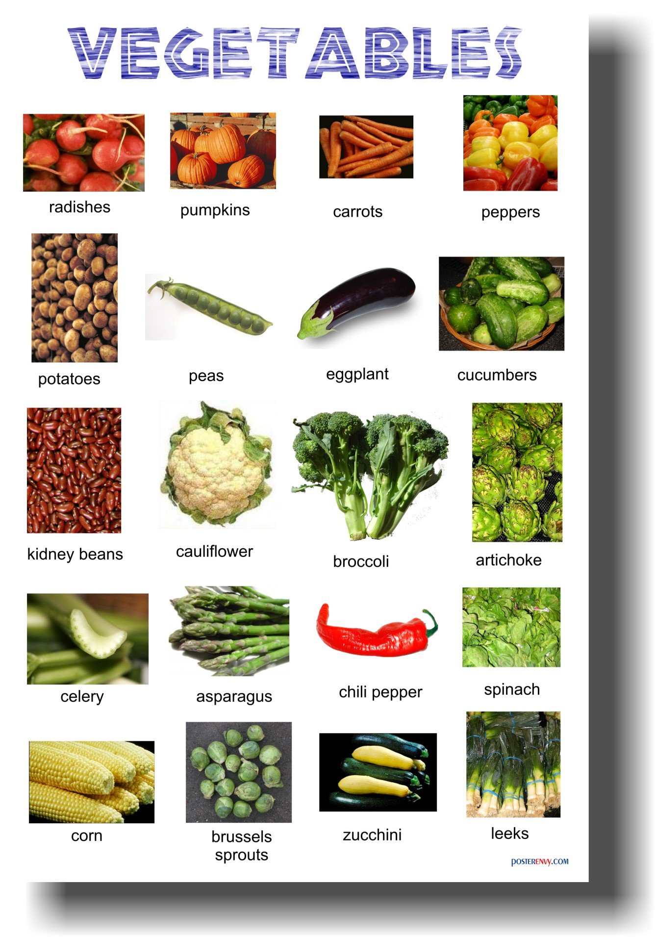 Vegetables - Classroom Healthy Eating Diet Food Science Poster-picture-11