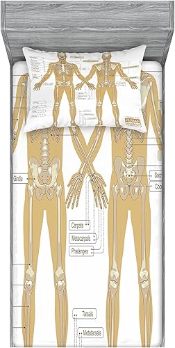 Miniatura 157 de Ambesonne Juego de sábanas bajeras y fundas de almohada, deliciosos tacos con verduras, cocina folclórica, ingredientes de recetas de comida Beige